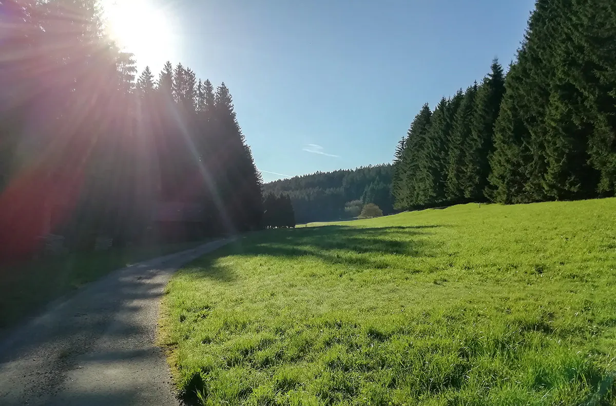 Schnapswanderung Loßburg - 5