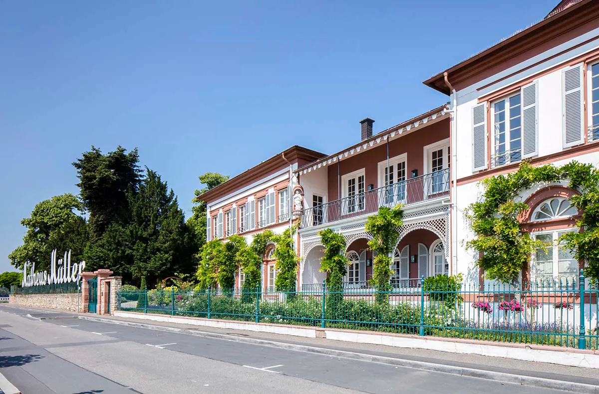 Schokoladen und Weinseminar in der Villa Mumm Eltville - 5