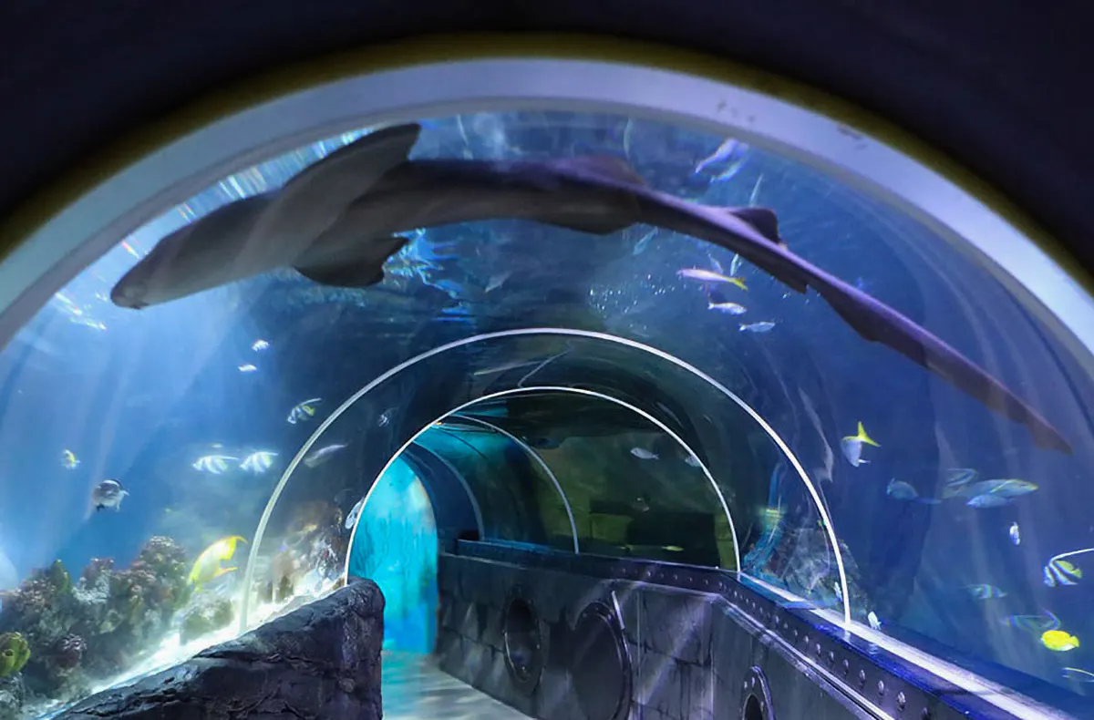 Sea Life Konstanz (1 EW + 1 Kleinkind) - 5