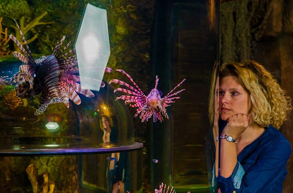 Sea Life München (Kinder-Ticket)