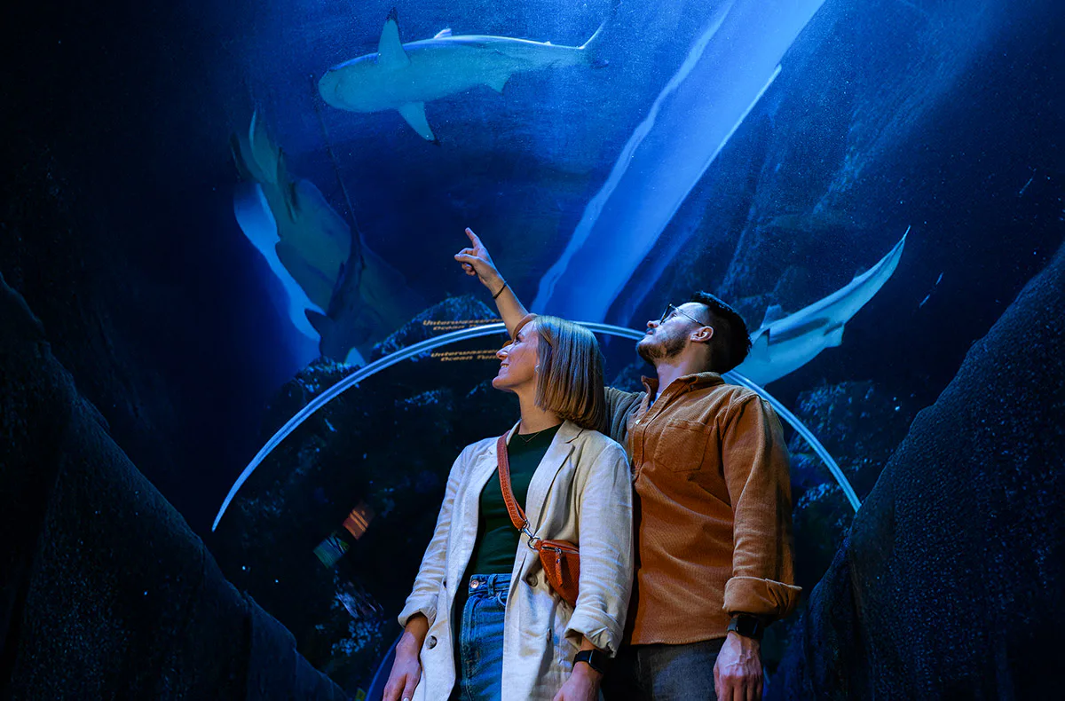 Sea Life Oberhausen (1 EW + 1 Kleinkind) - 1