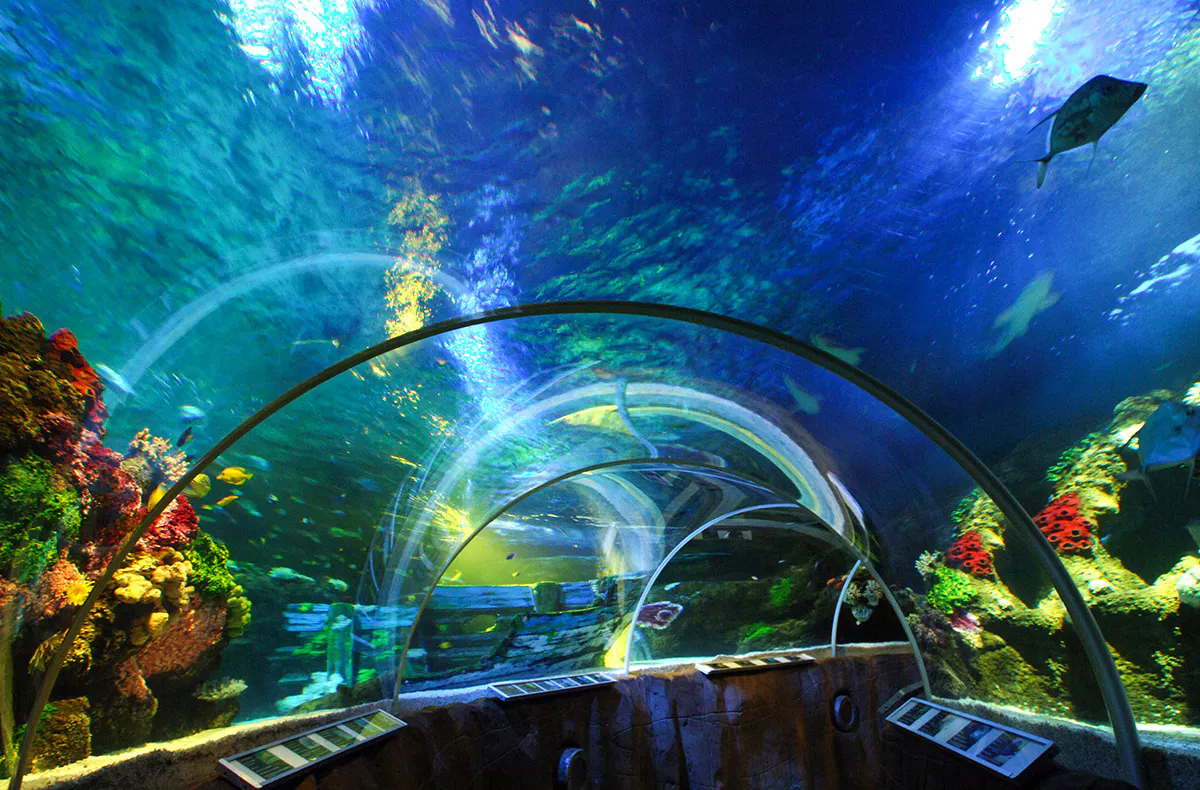 Sea Life Timmendorfer Strand - 6