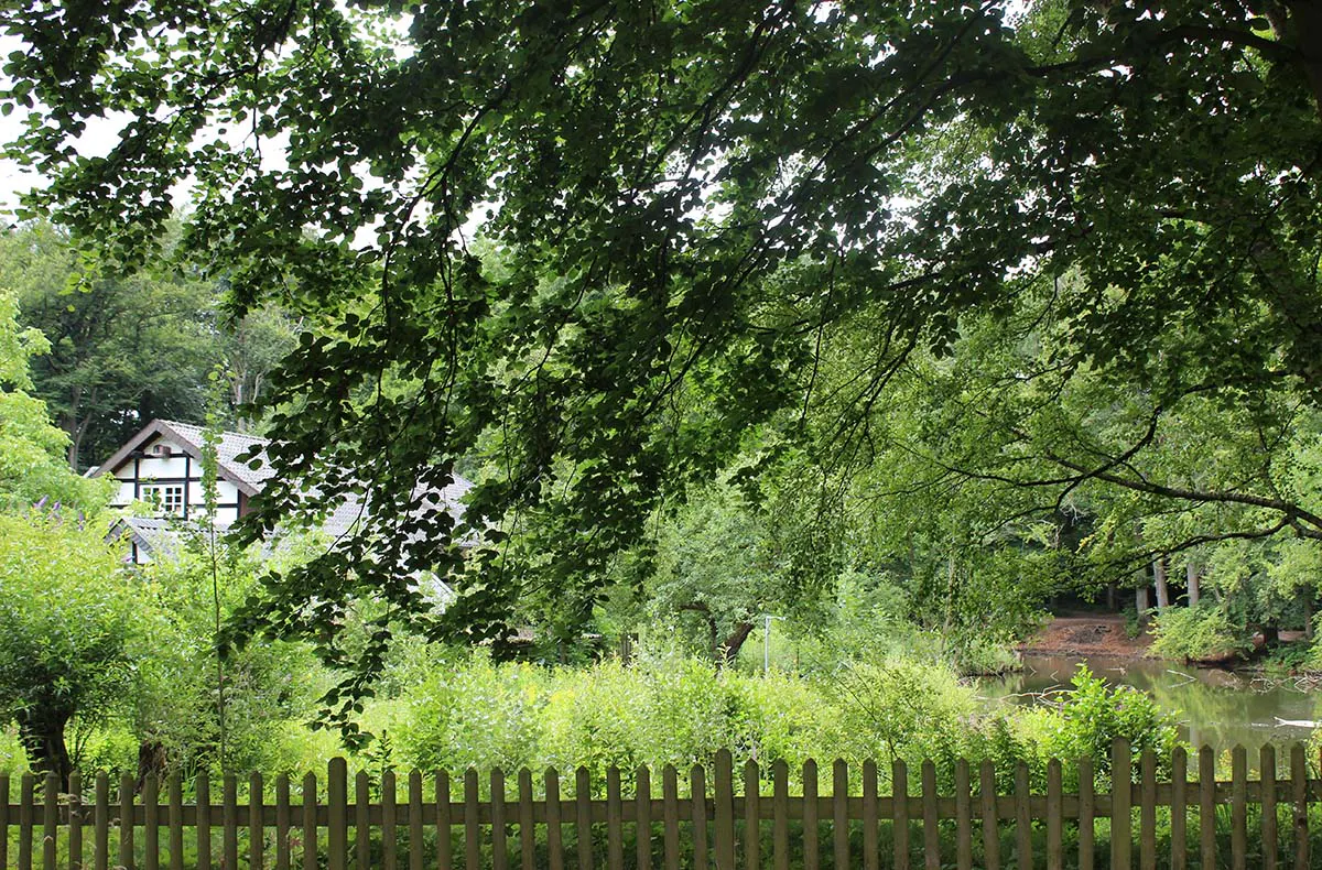 Seifensieden Kurs Wegberg - 5