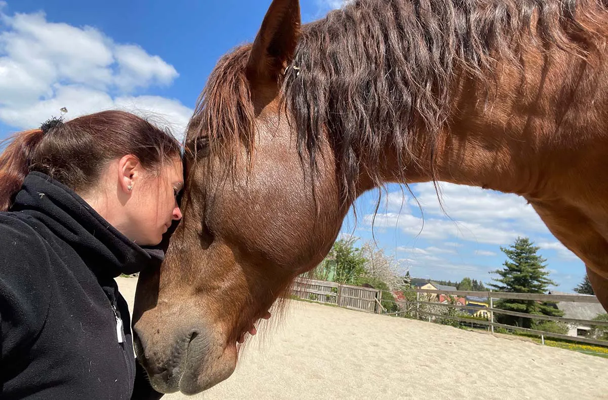 Spaziergang mit Pferden Grumbach - 5