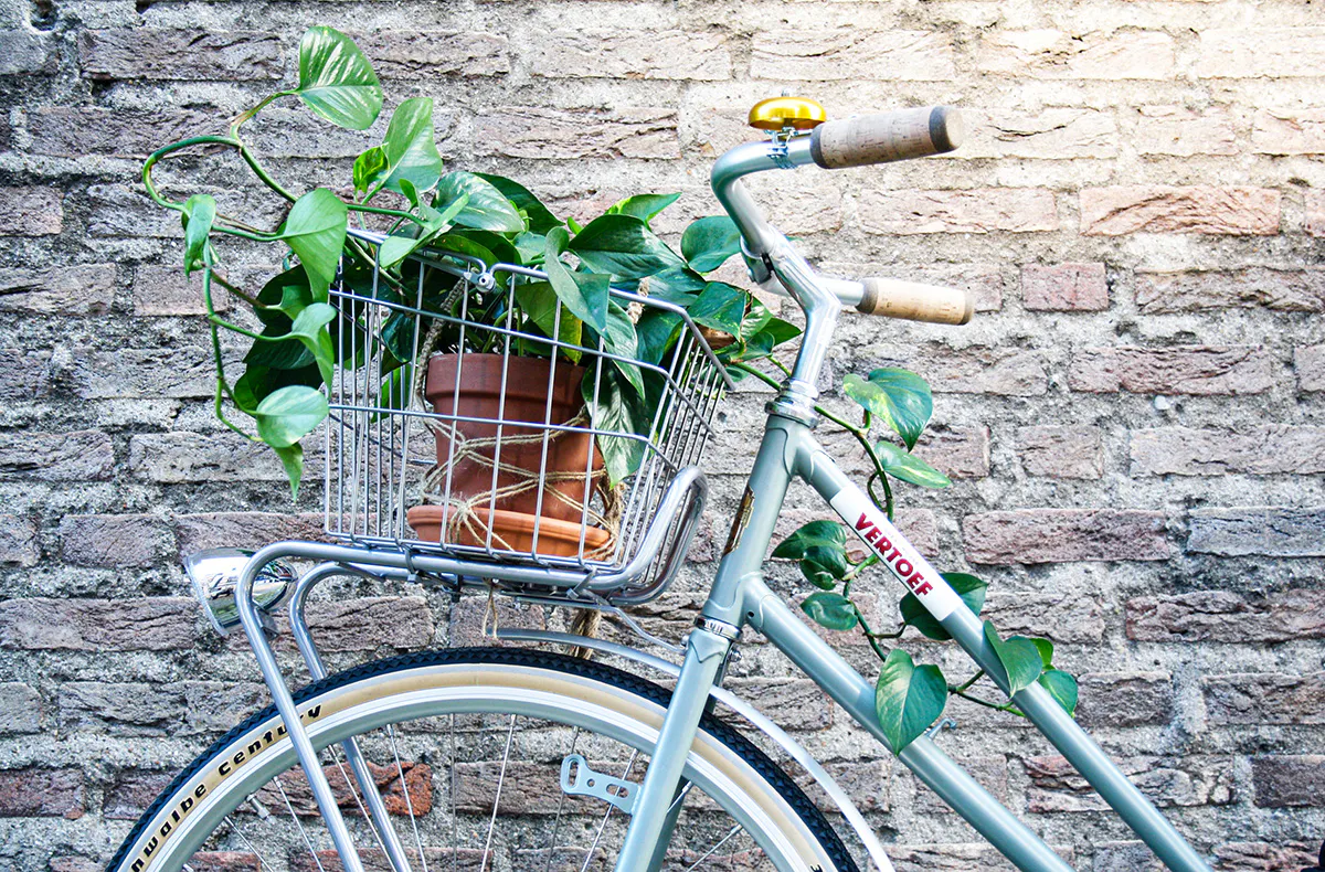 Städtereise Nimwegen für 2 (2 Nächte) - 12