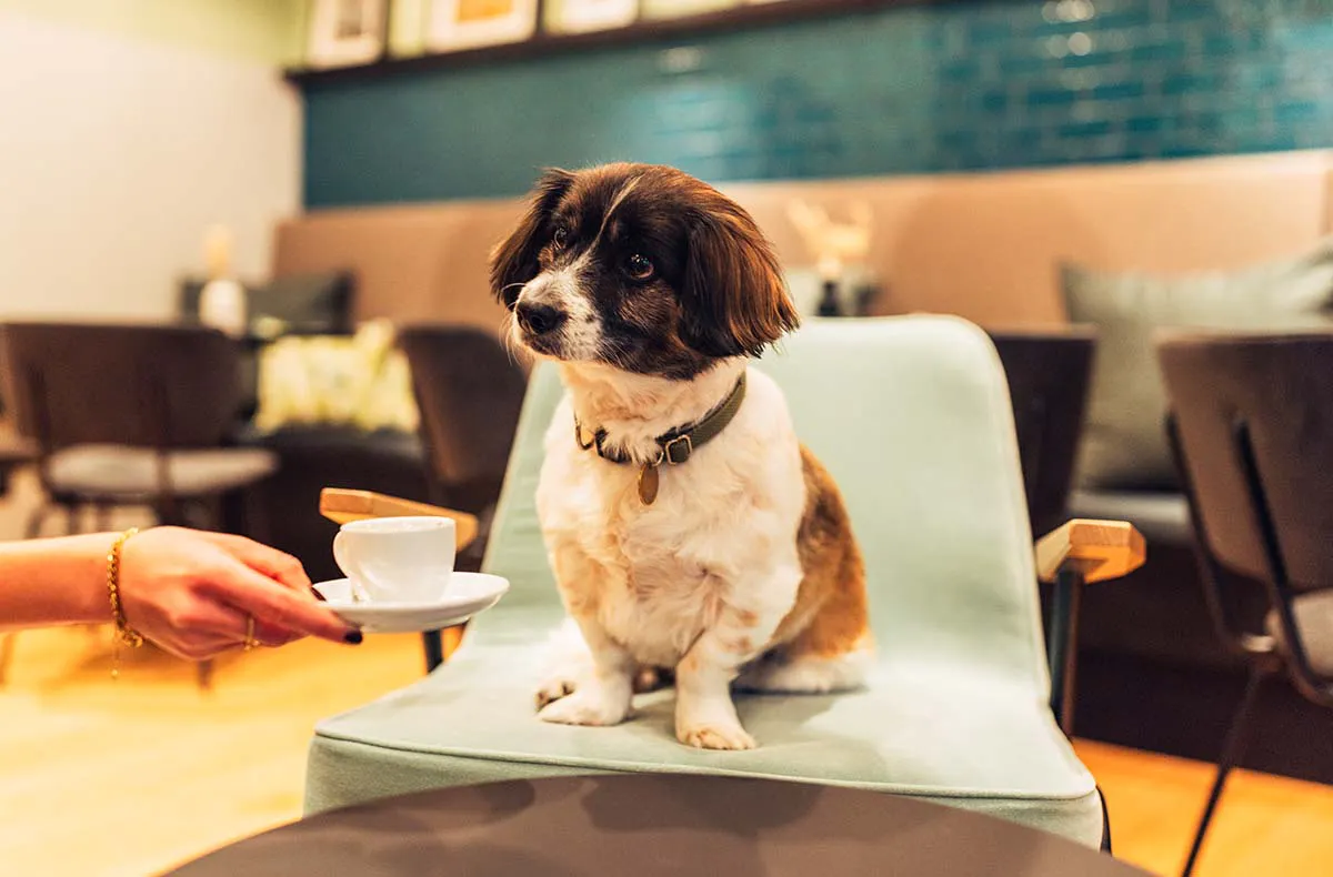 Städtetrip Graz für 2 (2 Nächte) - 11