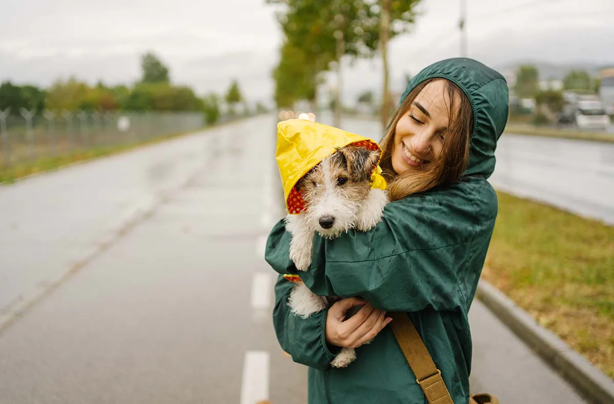 Städtetrip mit Hund Düsseldorf für 2 (1 Nacht) - 1