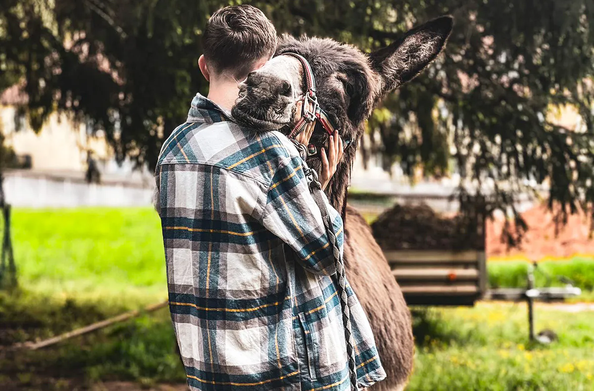 Tagestour mit Eseln Eppenbrunn für 2 - 5