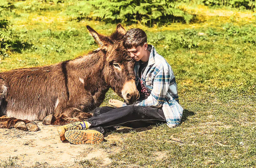Tagestour mit Eseln Eppenbrunn für 2