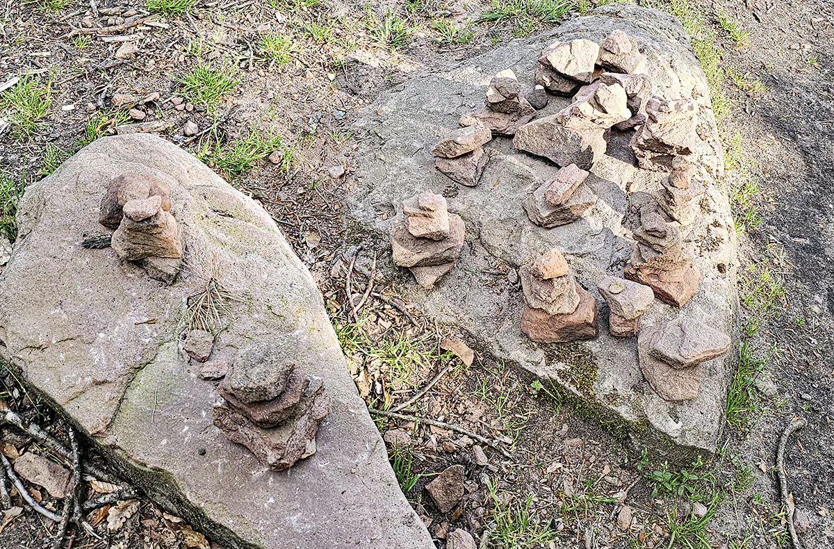 Tagestour mit Eseln Eppenbrunn - 5