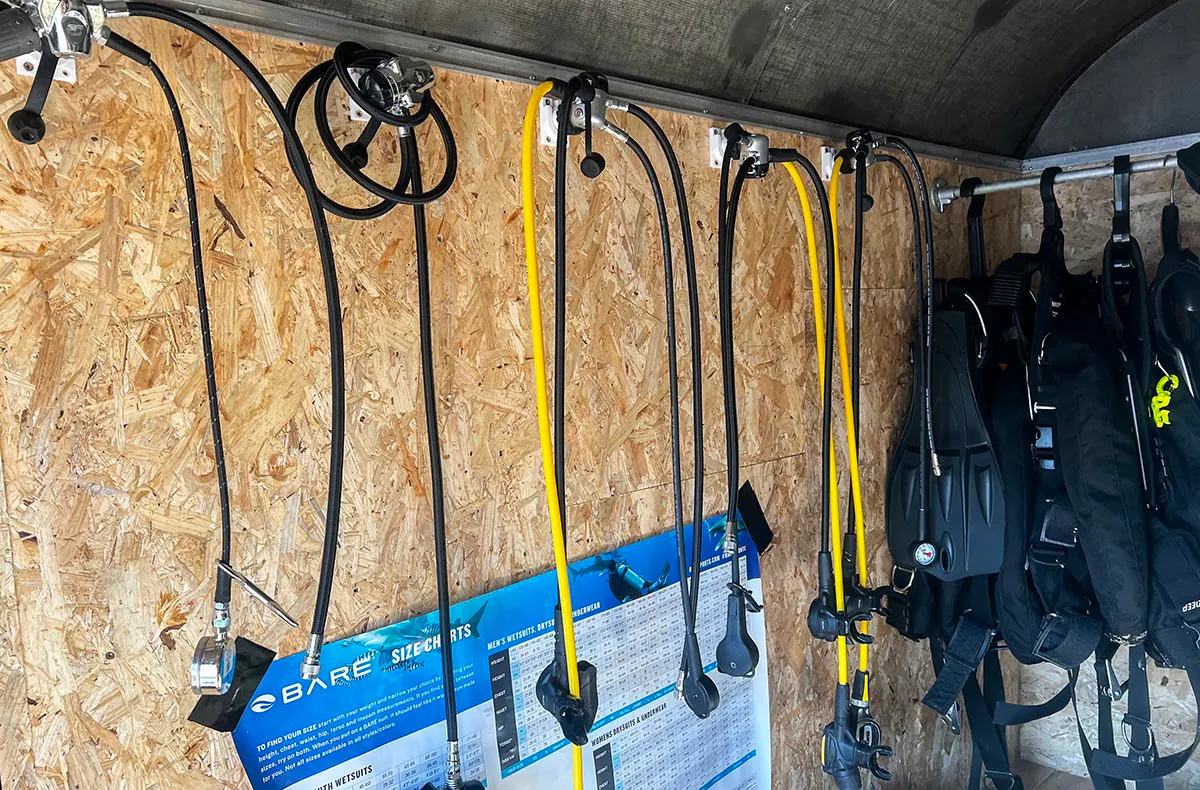 Tauchen Schnupperkurs Bitterfeld-Wolfen - 6