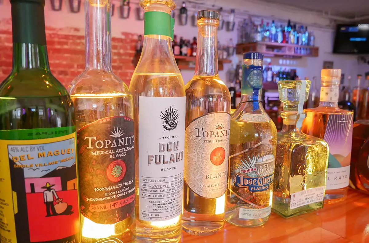 Tequila Tasting Frankfurt am Main - 5