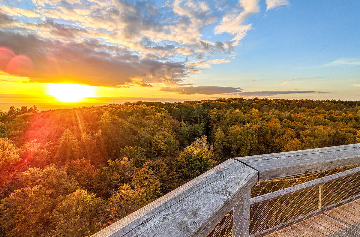 Tiny House Übernachtung Geusfeld für 2 (2 Nächte) - 17