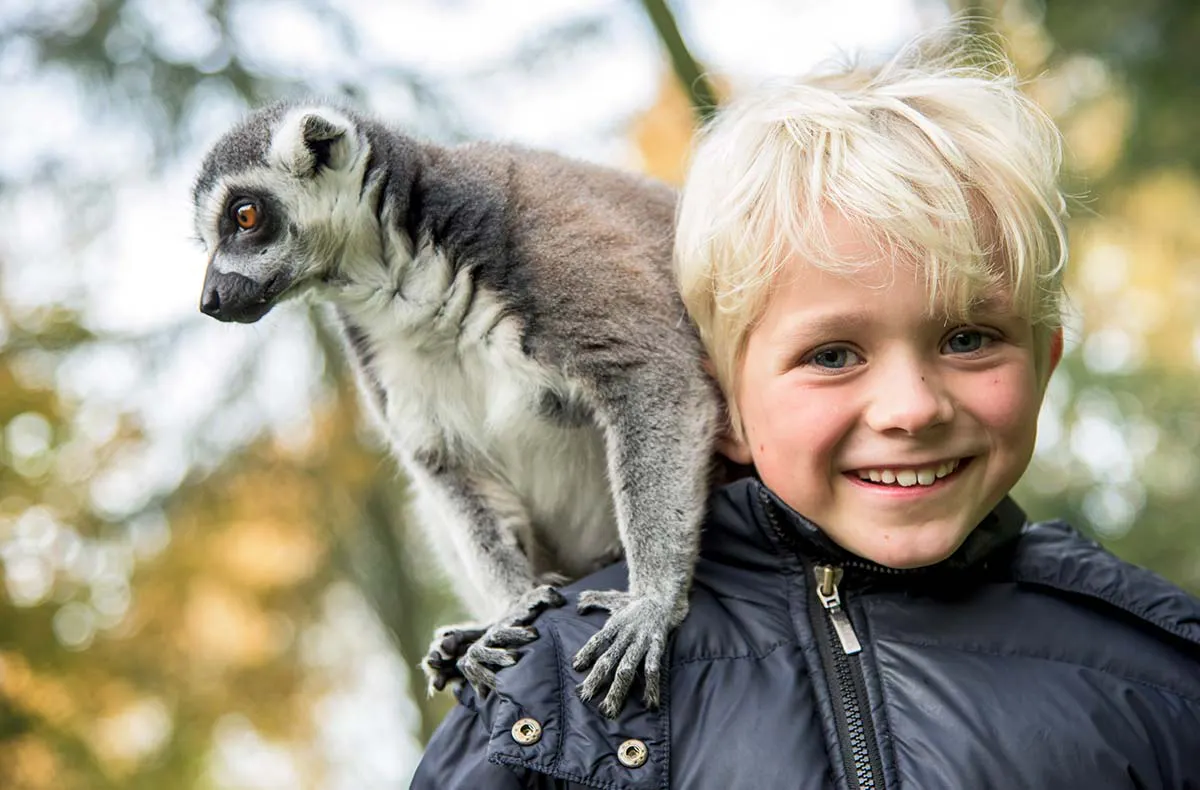 Außergewöhnlich Übernachten im Serengeti-Park für 2 (1 Nacht) - 8