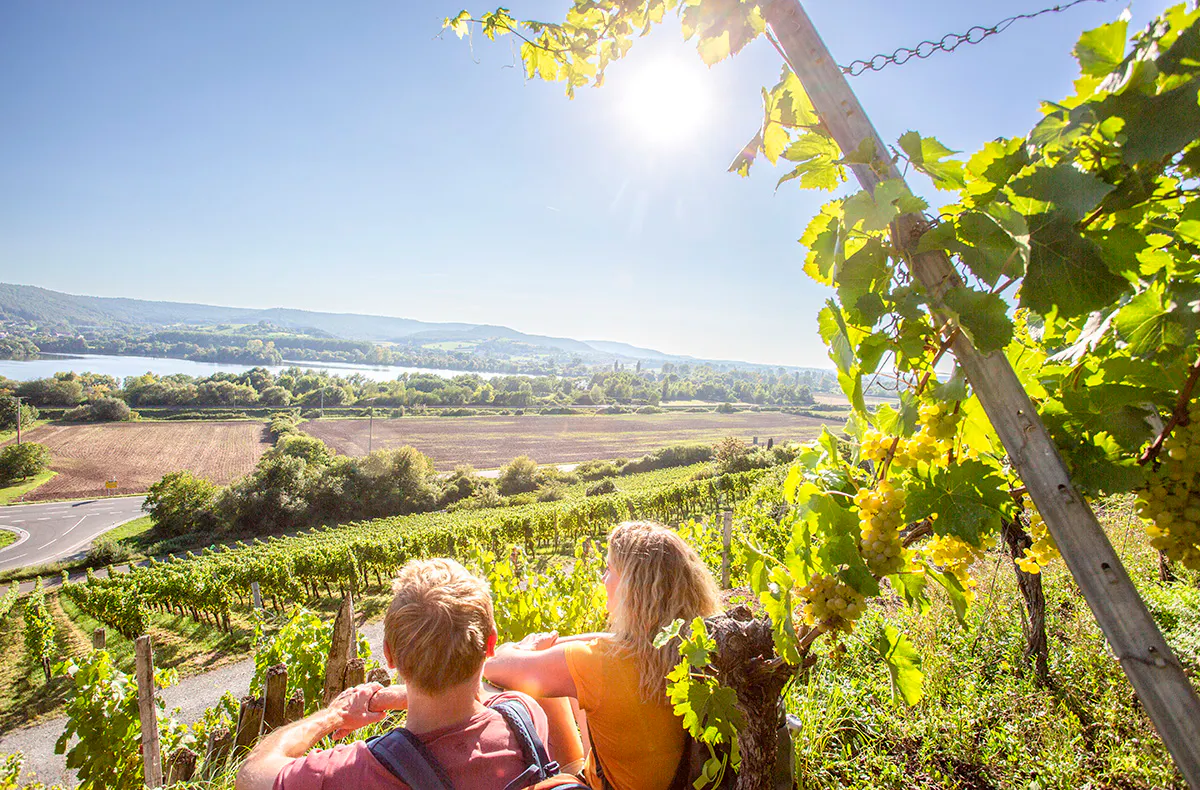 Übernachten im Tiny House in Franken für 2 (2 Nächte) - 14
