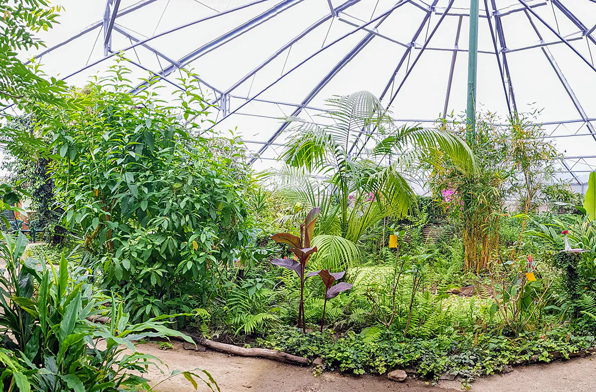 Übernachtung im Schlaffass Uslar (1 Nacht) - 6
