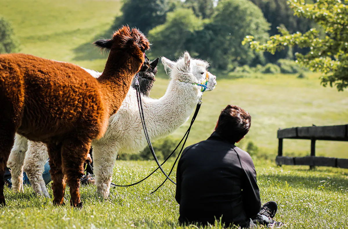 Übernachtung im Tipi Bad Salzungen für 2 (1 Nacht) - 5