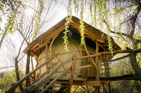Übernachtung in der Baumhaus-Nomade für 2 (1 Nacht)