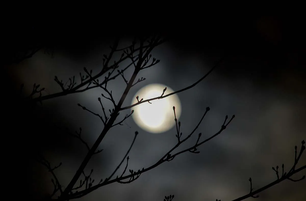Vollmond Weinwanderung Schriesheim - 3