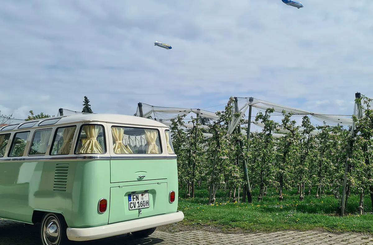 VW Bulli fahren Friedrichshafen für bis zu 8 - 5