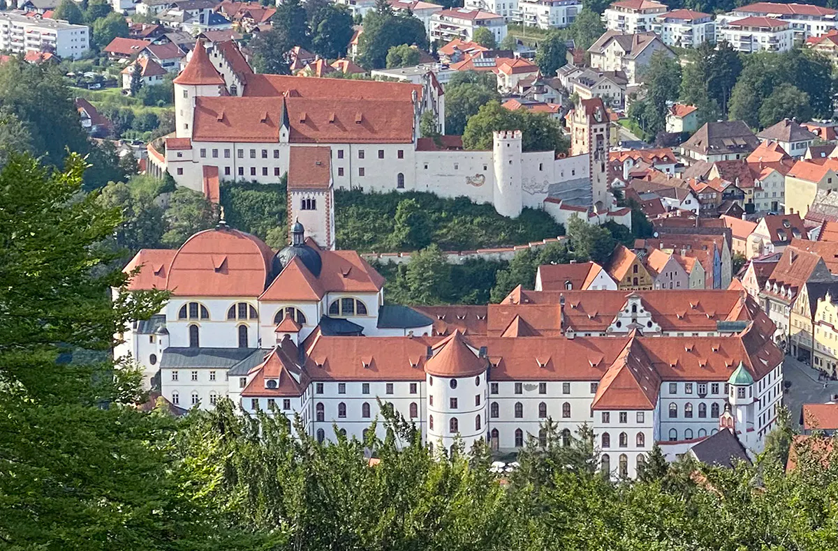 Wandern mit Huskies Füssen - 6