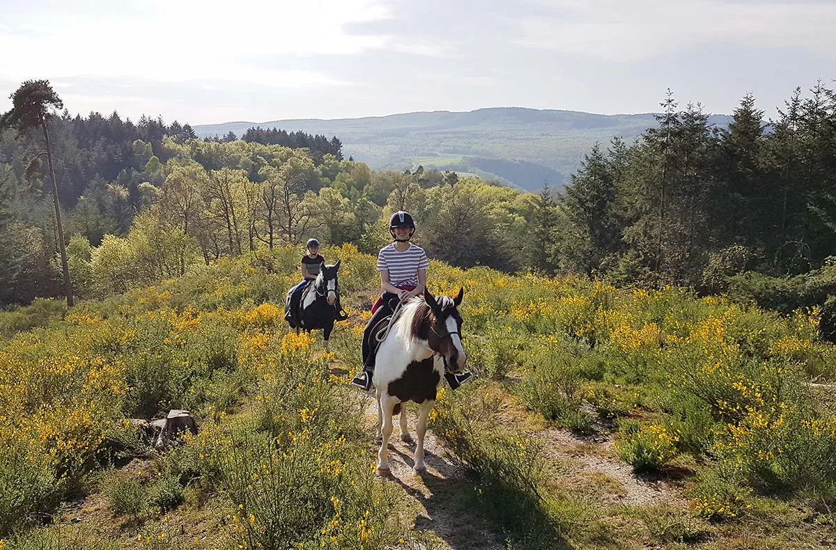 Wanderreiten mit Picknick Weiler bei Monzingen - 5