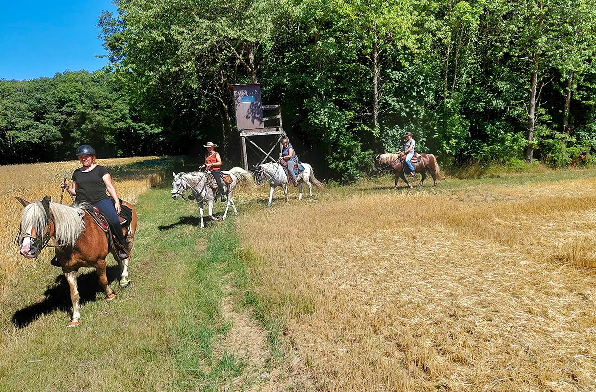 Wanderreiten mit Picknick Weiler bei Monzingen - 6