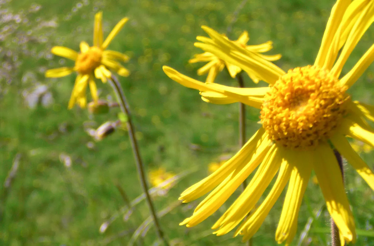 Wandertour Ehrwald - 6