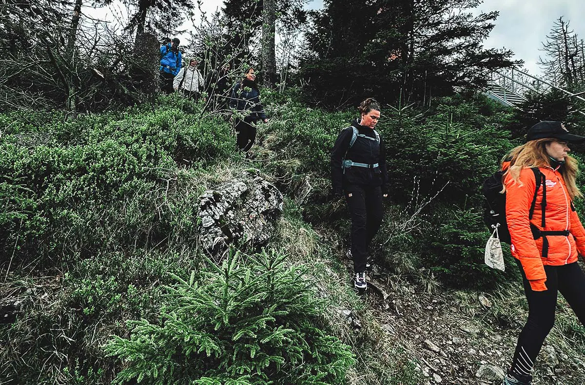 Wanderung inkl. Bierverkostung Braunlage - 2