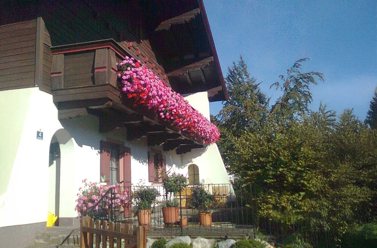 Wanderurlaub Jakobskreuz-Pillerseetal für 2 (2 Nächte) - 6