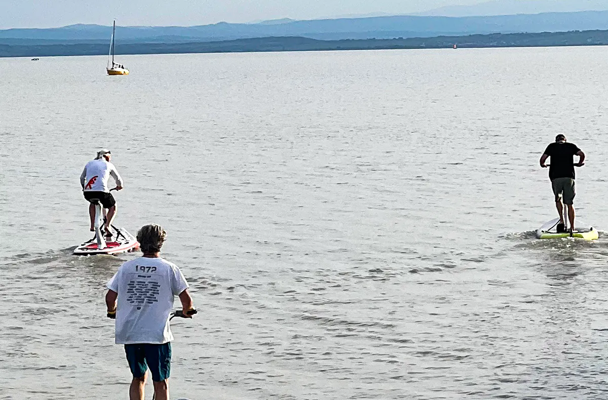 Wasserstepper am Neusiedler See - 5