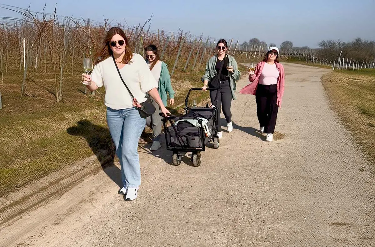 Wein-Jagd für 6 Personen Nordheim am Main - 6