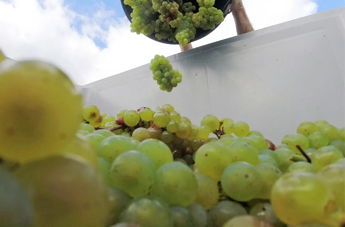 Wein Tasting München (After Work) - 5