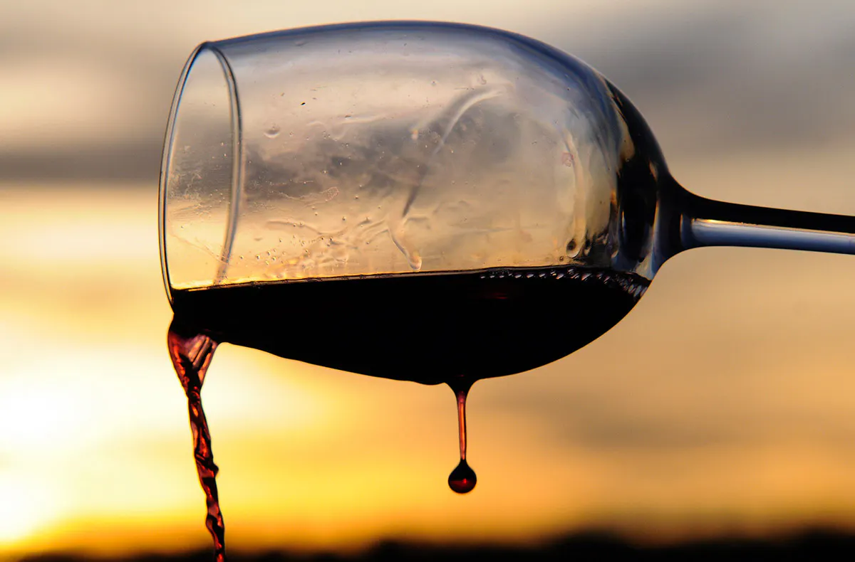 Käse & Wein Seminar Raum Wien - 6