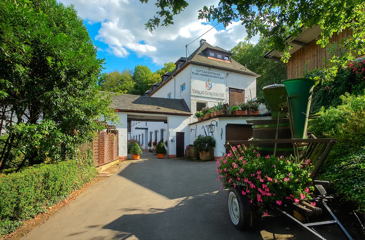 Schifffahrt und Weinerlebnis in Trier - 5