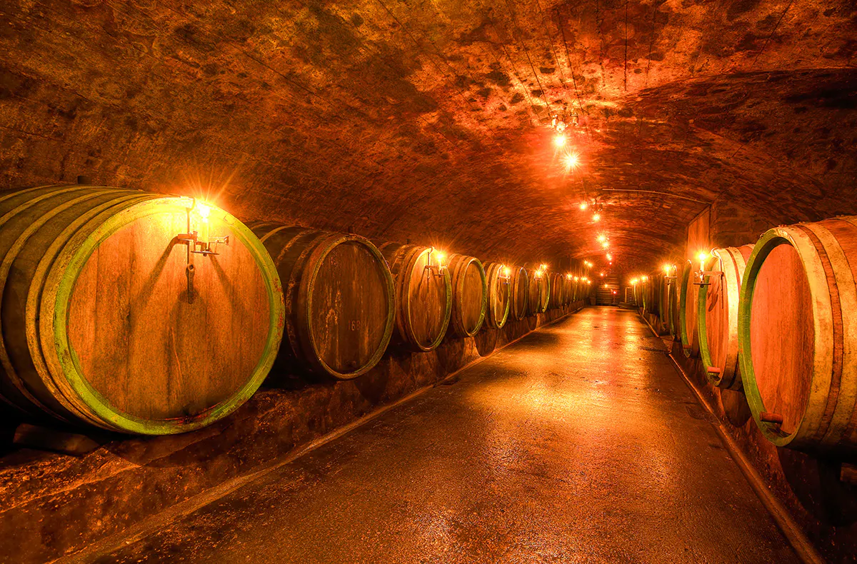 Schifffahrt und Weinerlebnis in Trier - 6