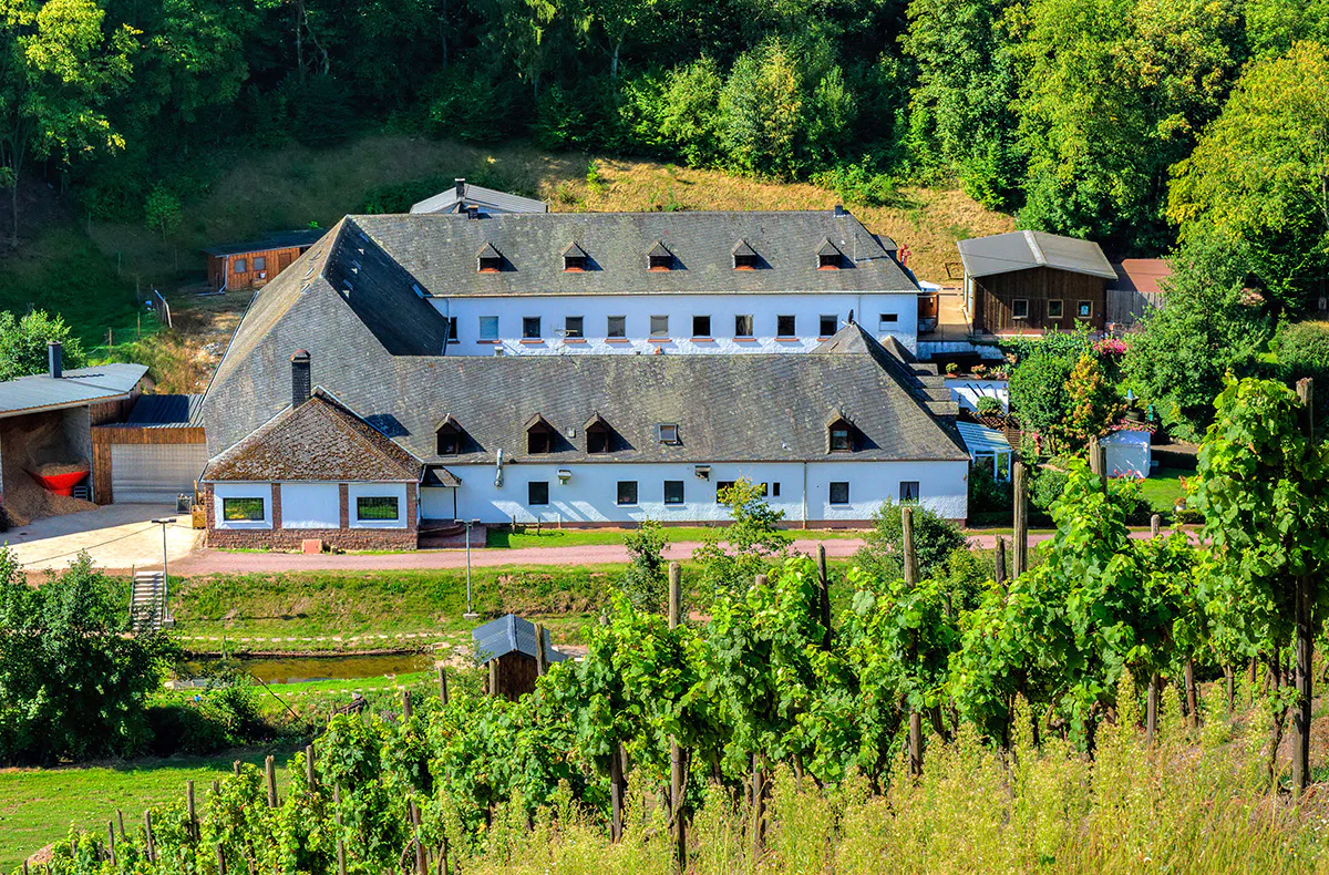 Schifffahrt und Weinerlebnis in Trier - 7