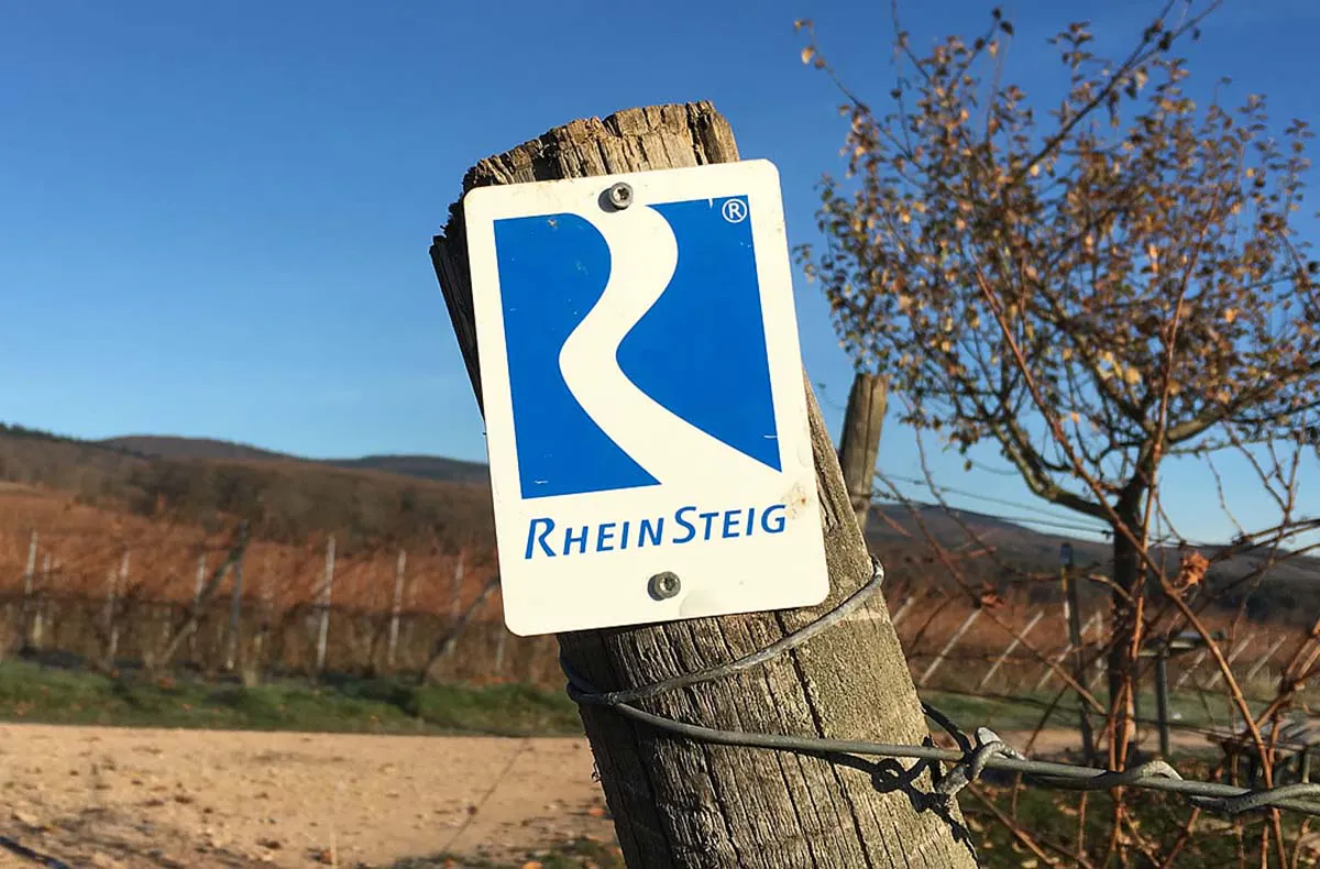 Weinbergwanderung Lorch - 6