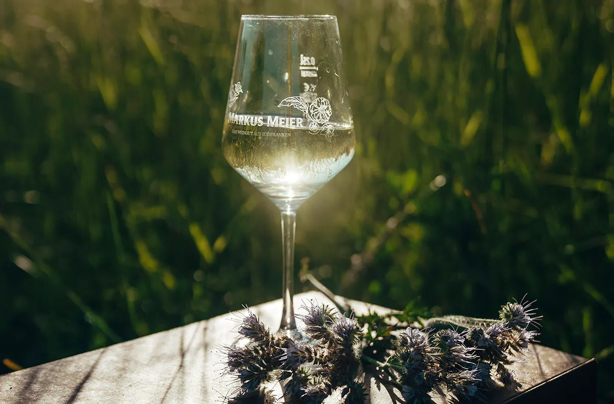 Weinbergwanderung Markt Nordheim - 5