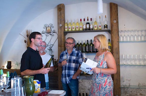 Weinseminar für Einsteiger Willendorf