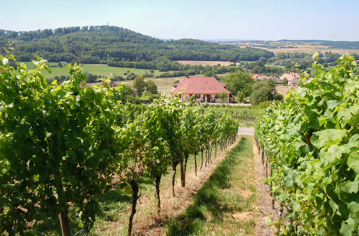 Weinprobe Maulbronn - 5