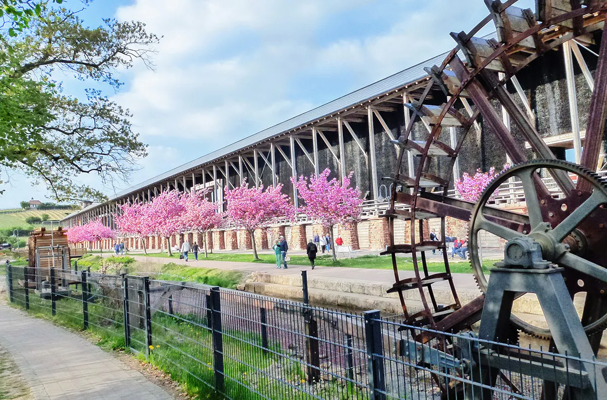 Weinreise in Bad Dürkheim für 2 (2 Nächte) - 8