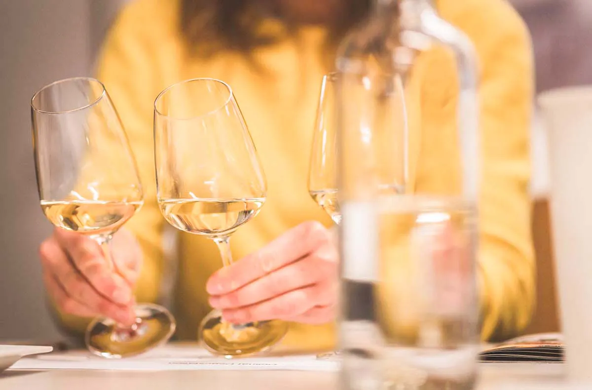 Weinseminar Einsteiger für 2 Leipzig - 3