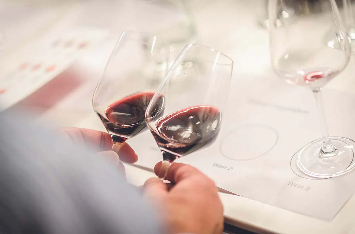 Weinseminar Einsteiger für 2 Leipzig - 4