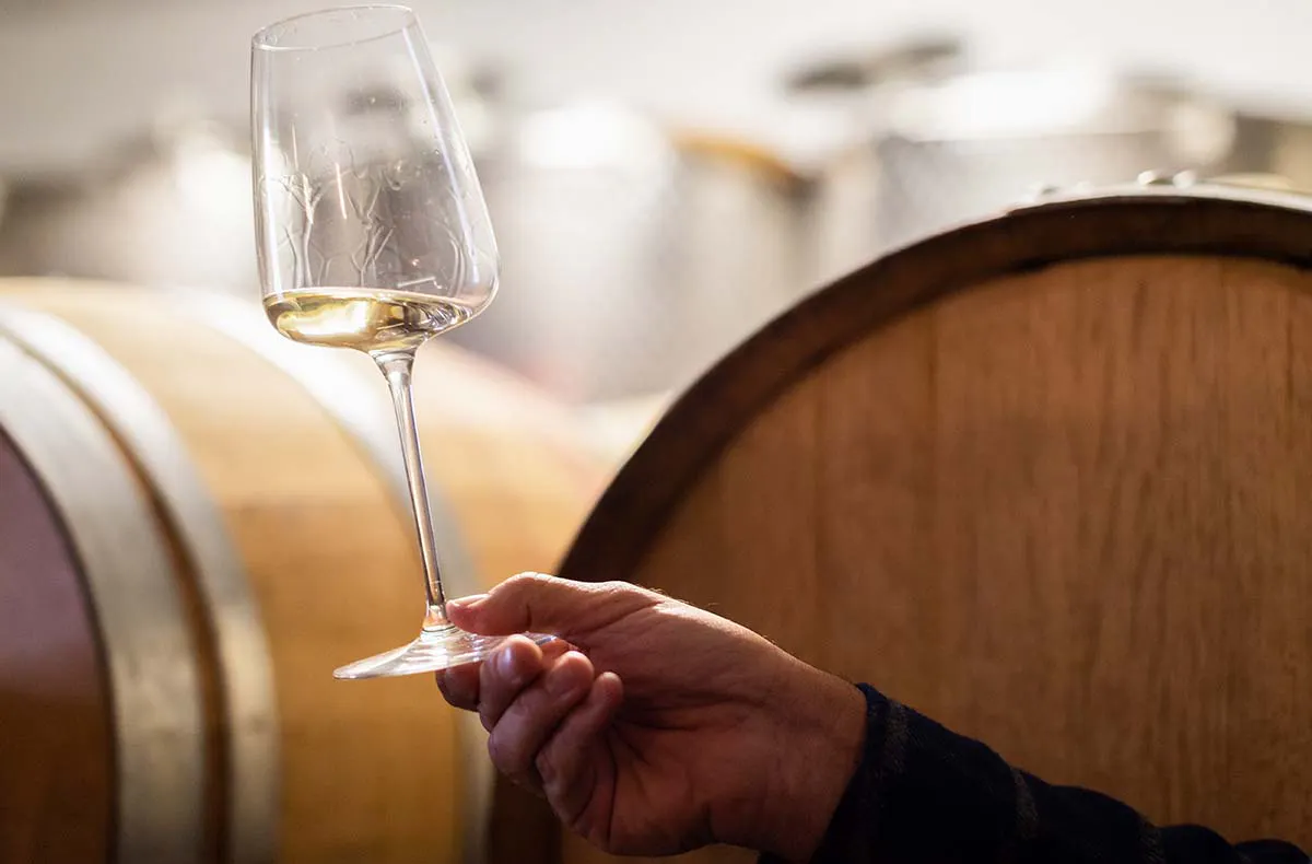 Weinverkostung auf der Zille Regensburg (Sa-So) - 3