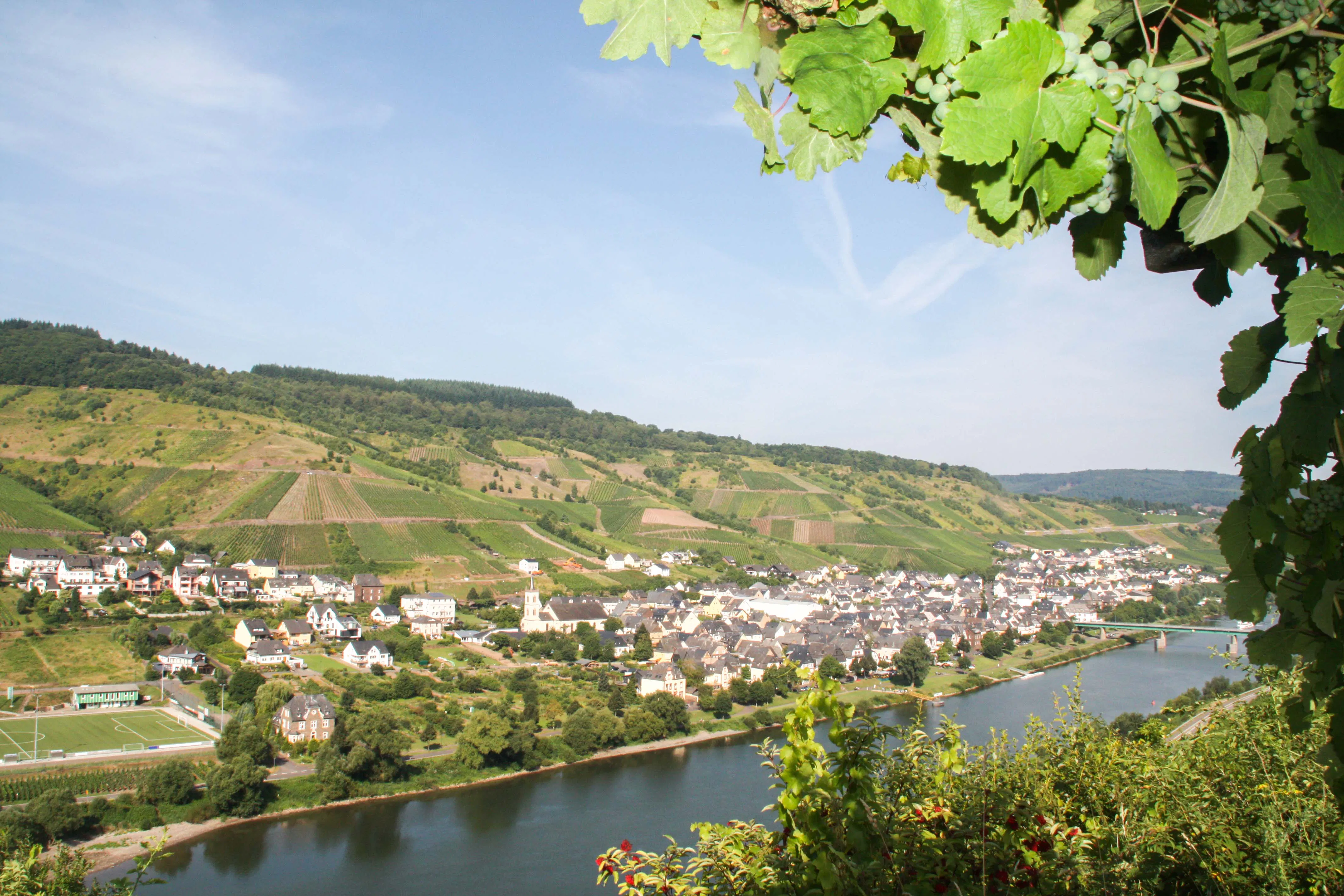 Weinwanderung mit Verkostung Reil - 2