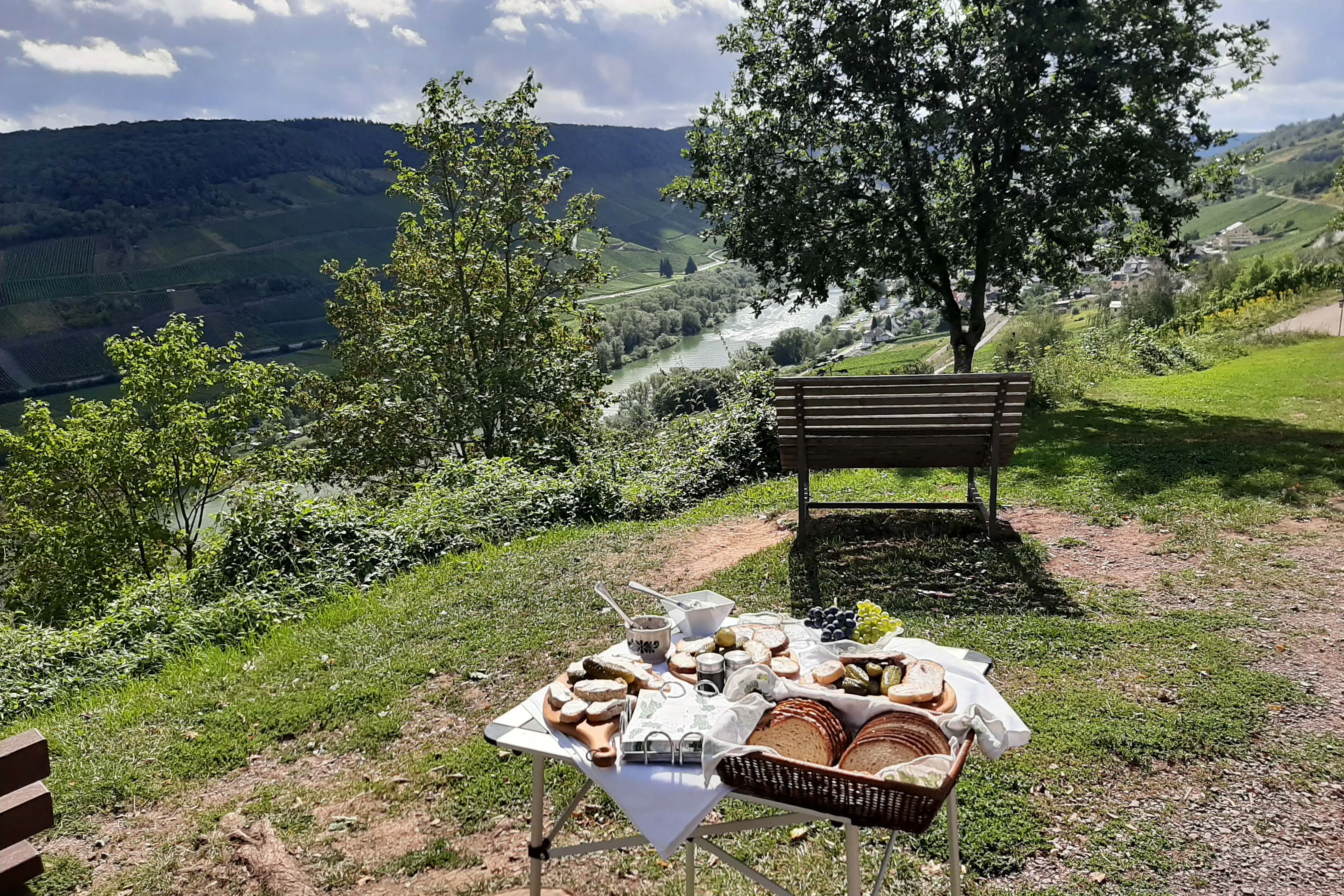 Weinwanderung mit Verkostung Reil - 3