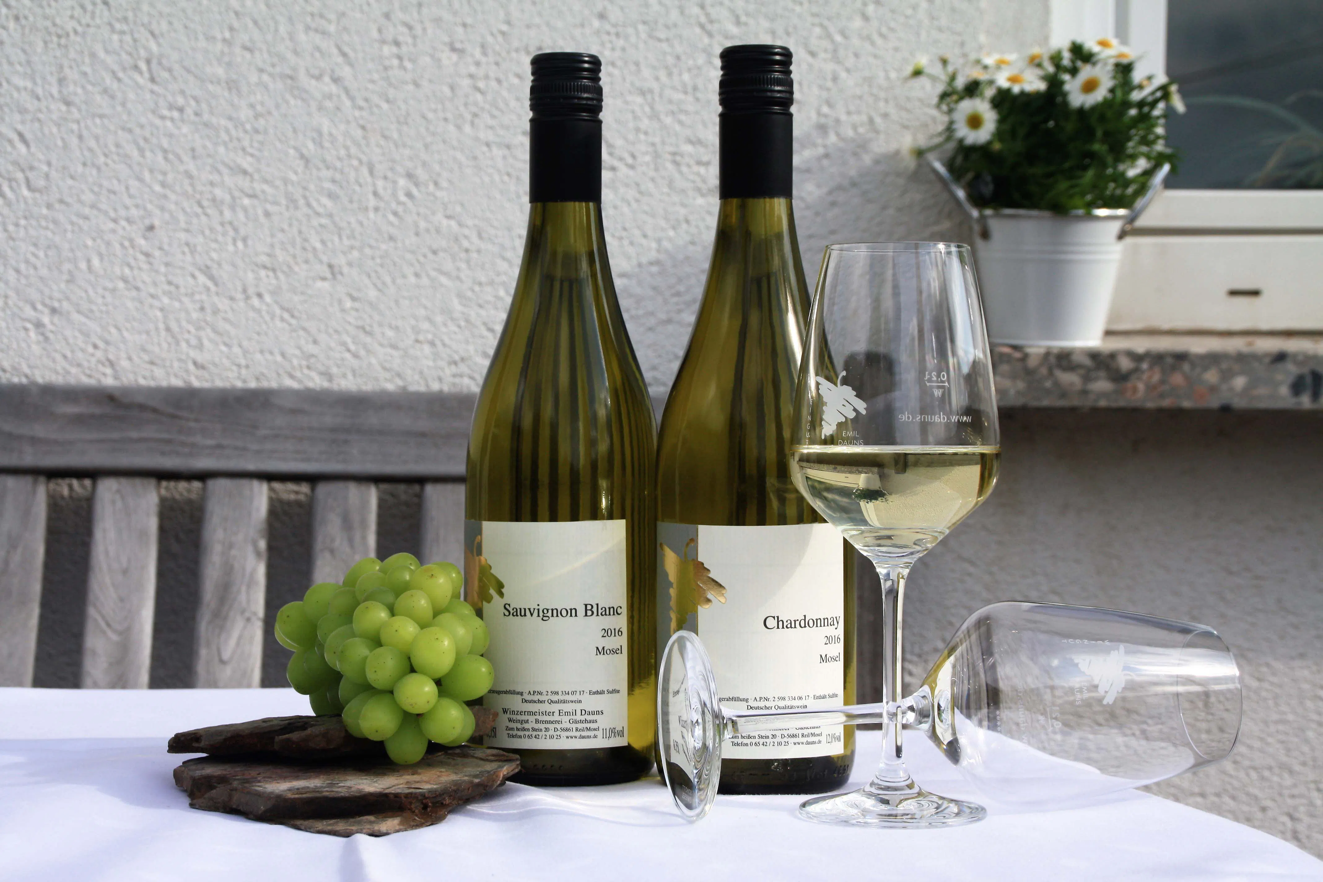 Weinwanderung mit Verkostung Reil - 4