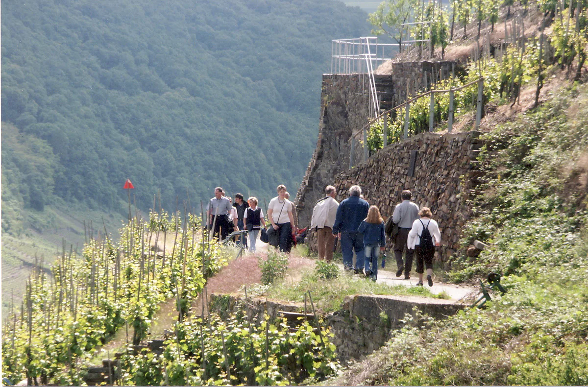 Weinwanderung und Schifffahrt auf der Mosel Cochem - 4