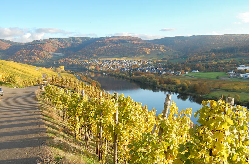 Weinwanderung und Schifffahrt auf der Mosel Bernkastel